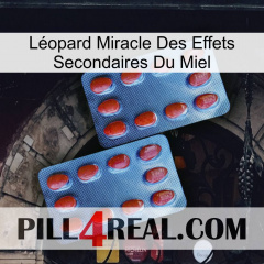 Léopard Miracle Des Effets Secondaires Du Miel 05